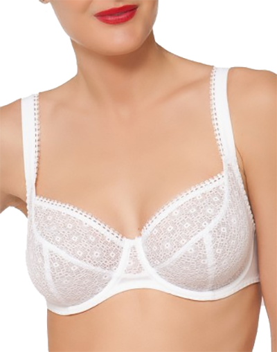 Lise Charmel's new bra -- Expression Dentelle -- with a sophisticated netting design is unique and fresh. Check out this new bra and bottoms design today.