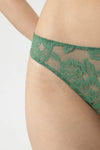 Serie Amazing Thong- Peat Moss
