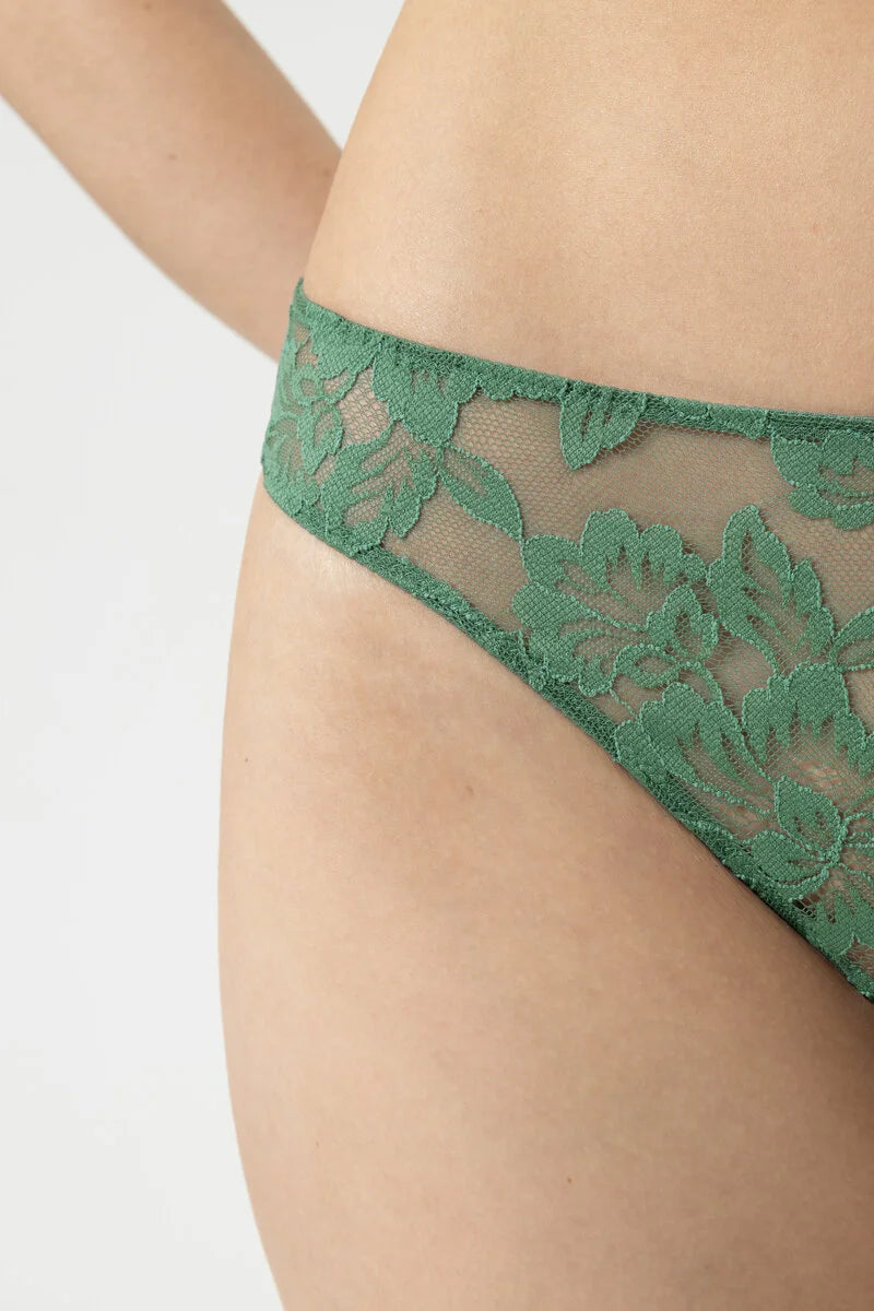 Serie Amazing Thong- Peat Moss