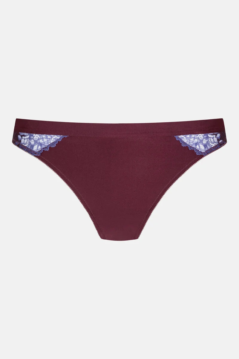 Serie Poetry Dream Brasil- Boysenberry