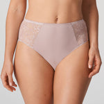 Alara High Waist Brief